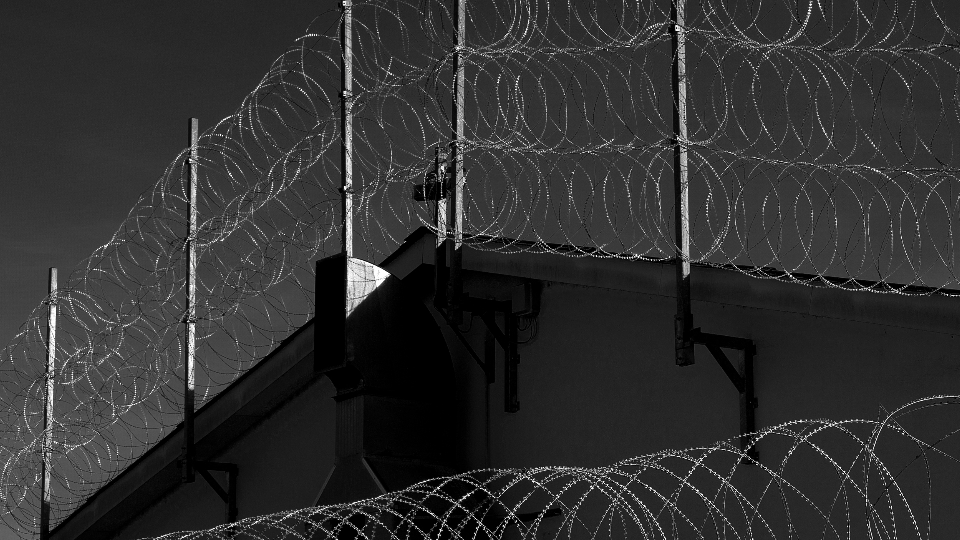 Creative approaches to challenge carceral border violence: towards decarceral and abolitionist futures