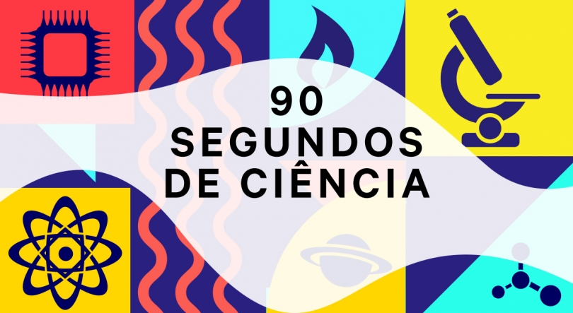 Investigadores do Iscte estão a estudar o impacto da descentralização dos apoios sociais na desigualdade