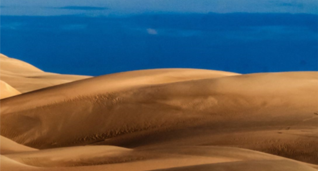 Oceanos, Praias e Dunas  uma história ambiental